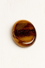 Tiger's Eye Worry Stone - Earthbound Trading Co. 