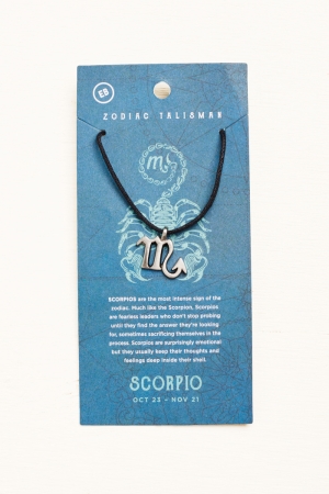 Scorpio Stainless Steel Zodiac Talisman Necklace