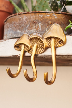 Brass Mushroom Trio Wall Hook - Earthbound Trading Co. 