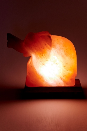 Elephant Himalayan Salt Lamp Lit View - Earthbound Trading Co.