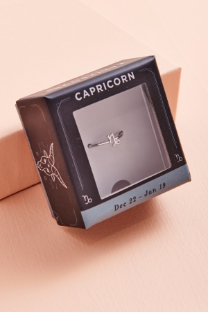 Brass Capricorn Ring in gift box - Earthbound Trading Co. 