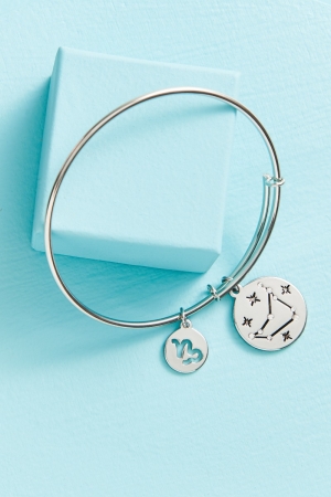 Capricorn Bangle Bracelet - Earthbound Trading Co.