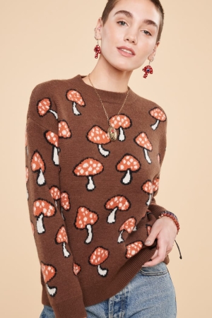 Brown Mushroom Sweater front view