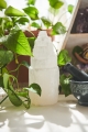 Selenite Tower  - Earthbound Trading Co. 