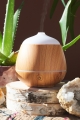 EB Faux Wood Travel USB Essential Oil Diffuser - Earthbound Trading Co.