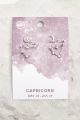 Capricorn Earring Jackets On Card - Earthbound Trading Co.