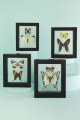Two Butterflies in Black Frame (various shown)