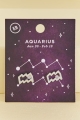 Aquarius Zodiac Symbol Stud Earrings