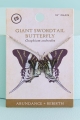 Giant Swordtail Butterfly Necklace
